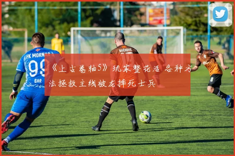 《上古卷轴5》玩家整花活 各种方法拯救主线被龙摔死士兵