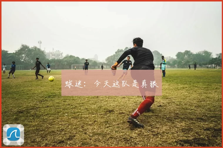球迷：今天这队是真狠
