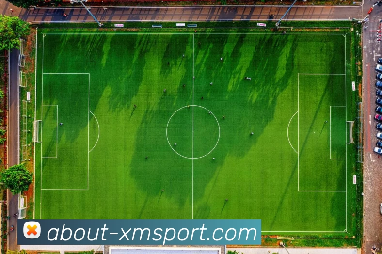 熊猫体育APP 封面图